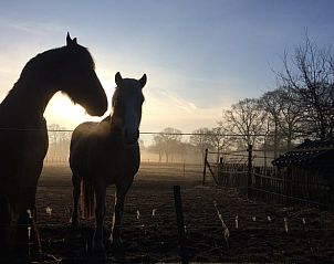 Unterkunft 540215 - Ferienhaus Vechtstreek - Vakantiehuisje in Beerze