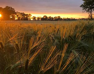 Unterkunft 540215 - Ferienhaus Vechtstreek - Vakantiehuisje in Beerze