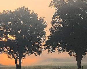 Unterkunft 540215 - Ferienhaus Vechtstreek - Vakantiehuisje in Beerze
