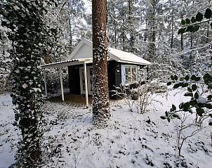 Unterkunft 540220 - Ferienhaus Vechtstreek - Vakantiehuis in Beerze