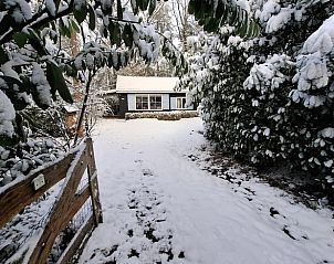 Unterkunft 540220 - Ferienhaus Vechtstreek - Vakantiehuis in Beerze