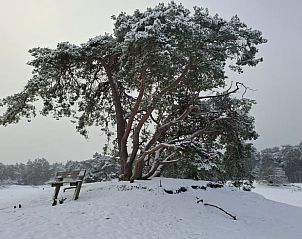 Unterkunft 540220 - Ferienhaus Vechtstreek - Vakantiehuis in Beerze