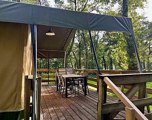 Terras van Summer Lodge vakantiehuis in Beerze, Overijssel, omgeven door natuur in de Vechtstreek.