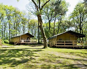 Safaritenten van Summer Lodge voor 6 personen in het groene landschap van Beerze, Vechtstreek, Overijssel.