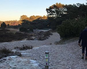 Unterkunft 540225 - Ferienhaus Vechtstreek - Vakantiehuisje in Beerze