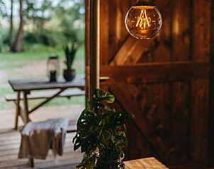 Sfeervolle verlichting op het terras van Vechtglamping Lodge, Beerze.
