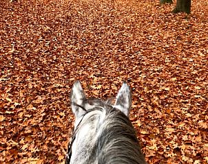 Unterkunft 540230 - Ferienhaus Vechtstreek - Vakantiehuis in Beerze