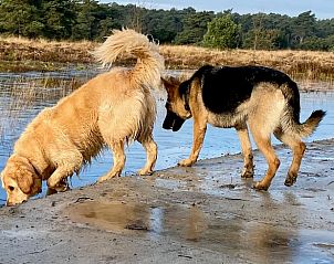 Unterkunft 540230 - Ferienhaus Vechtstreek - Vakantiehuis in Beerze