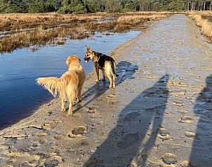 Unterkunft 540230 - Ferienhaus Vechtstreek - Vakantiehuis in Beerze