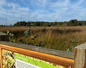 Unterkunft 540230 - Ferienhaus Vechtstreek - Vakantiehuis in Beerze