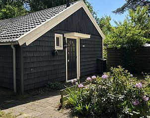 Unterkunft 540244 - Ferienhaus Vechtstreek - Boshuisje Woodz