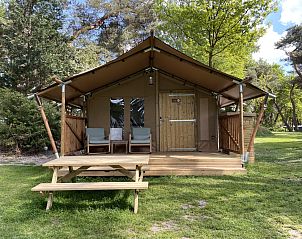 Verblijf 540248 • Vakantiewoning Vechtstreek • Summer Lodge 