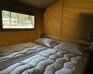 Unterkunft 540248 - Ferienhaus Vechtstreek - Summer Lodge