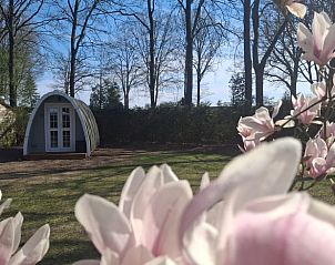 Unterkunft 540437 • Ferienhaus Vechtstreek • Huisje in Gramsbergen 