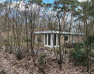 Ferienhaus in Dalfsen, Region Vecht, Overijssel, umgeben von grnen Wldern fr einen ruhigen Urlaub.