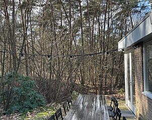 Gerumige Terrasse im Ferienhaus in Dalfsen, Vechtstreek, Overijssel mit Blick auf die Natur.