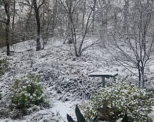 Verschneite Landschaft rund um das Ferienhaus in Dalfsen, Vechtstreek, Overijssel fr eine winterliche Atmosphre.
