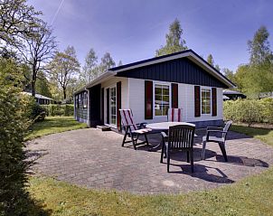 Vakantiehuis 4-persoons bos in Dalfsen biedt een charmant terras omringd door natuur in de Vechtstreek, Overijssel.