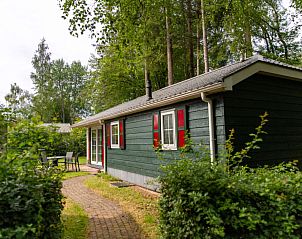 Prachtige bosrijke omgeving bij Vakantiehuis 4-persoons bos in Dalfsen, ideaal voor natuurliefhebbers in de Vechtstreek, Overijssel.