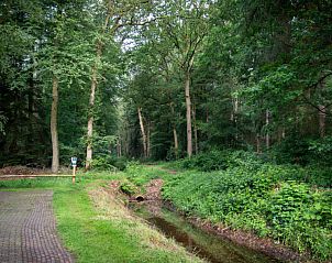 Verblijf 540509 - Vakantiewoning Vechtstreek - Vakantiehuis 4-persoons bos