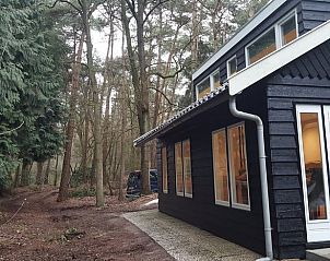 Unterkunft 540522 - Ferienhaus Vechtstreek - Vakantiehuis in Dalfsen