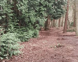 Unterkunft 540522 - Ferienhaus Vechtstreek - Vakantiehuis in Dalfsen