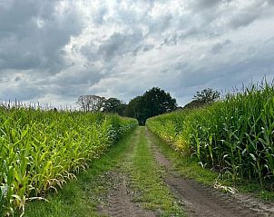 Unterkunft 540522 - Ferienhaus Vechtstreek - Vakantiehuis in Dalfsen
