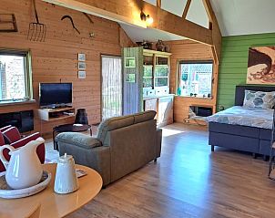 Gezellige binnenruimte van Vakantiehuis in Dalfsen met houten interieur en comfortabele zithoek.