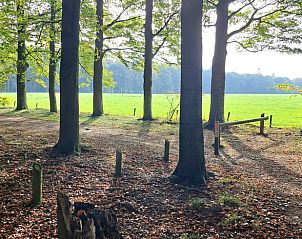Prachtige wandelpaden in de natuur rondom Vakantiehuis in Dalfsen, Vechtstreek.
