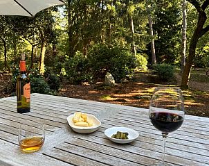 Genieen Sie ein Glas Wein auf der Terrasse des Ferienhauses in Dalfsen, umgeben von Natur in Overijssel.