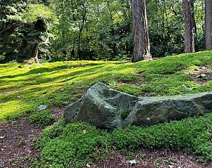 Schne waldreiche Umgebung des Ferienhauses in Dalfsen, entdecken Sie die Natur in der Region Vecht, Overijssel.