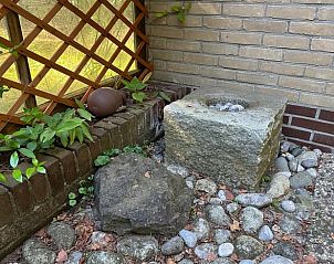 Grnes Laub im Ferienhaus in Dalfsen, ruhige Natur in der Region Vecht, Overijssel.