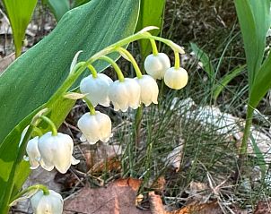 Rustikale Steinecke im Ferienhaus in Dalfsen, stimmungsvolle Details in der Region Vecht, Overijssel.