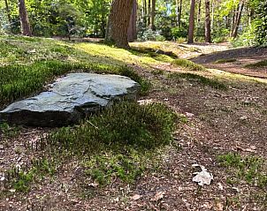 Maiglckchen blhen im Garten des Ferienhauses in Dalfsen, natrliche Schnheit in Overijssel.