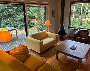 Waldlandschaft rund um das Ferienhaus in Dalfsen, entdecken Sie die ruhige Natur in der Region Vecht, Overijssel.