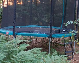 Trampolin im Garten des Ferienhauses in Dalfsen, Spa fr Kinder in der Region Vecht, Overijssel.