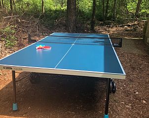 Tischtennisplatte im Ferienhaus in Dalfsen, sportliche Entspannung in der Region Vecht, Overijssel.