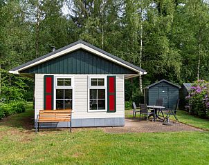 Vakantiehuis 4-persoons bos in Dalfsen biedt een charmant terras met uitzicht op de groene omgeving in de Vechtstreek, Overijssel.