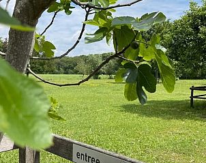 Grner Eingang zum Ferienhaus in Dalfsen, umgeben von Natur in der Region Vecht.