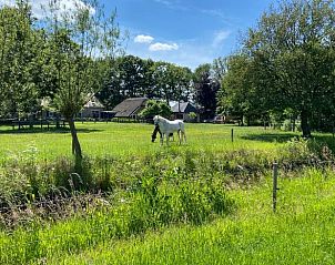 Beautiful view of the green meadows surrounding Cottage in Dalfsen, Vecht region, Overijssel.