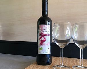 Fles wijn met glazen in Huisje in Dalfsen, ideaal voor een ontspannen avond in Overijssel.