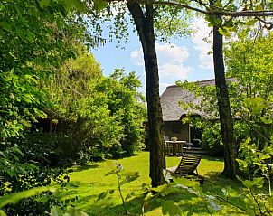 Guest house 540808 - Holiday property Vechtstreek - Vakantiehuis in Balkbrug