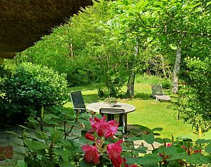 Guest house 540808 - Holiday property Vechtstreek - Vakantiehuis in Balkbrug