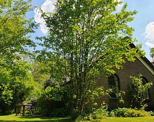 Guest house 540808 - Holiday property Vechtstreek - Vakantiehuis in Balkbrug