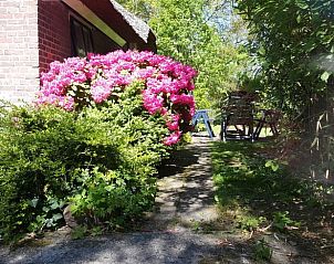 Guest house 540808 - Holiday property Vechtstreek - Vakantiehuis in Balkbrug