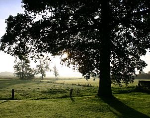 Verblijf 540826 - Vakantiewoning Vechtstreek - Vakantiehuisje in Balkbrug