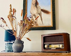 Retro decor in Huisje in Balkbrug, vakantiehuis in Vechtstreek, Overijssel, met vintage radio en schilderij.