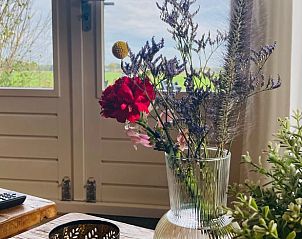 Vaas met bloemen in Huisje in Balkbrug, vakantiehuis in Vechtstreek, Overijssel, met weids uitzicht op het platteland.