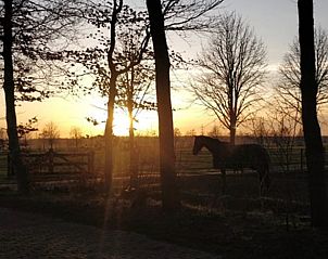 Zonsondergang met paard bij Huisje in Balkbrug, vakantiewoning in Vechtstreek, Overijssel.