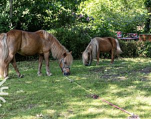 Guest house 540846 - Holiday property Vechtstreek - OV188